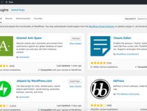 Story Idea #100 – Building the WordPress Plugin